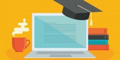 Daily Schedule and School Life