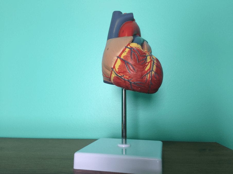 What I learned in a month