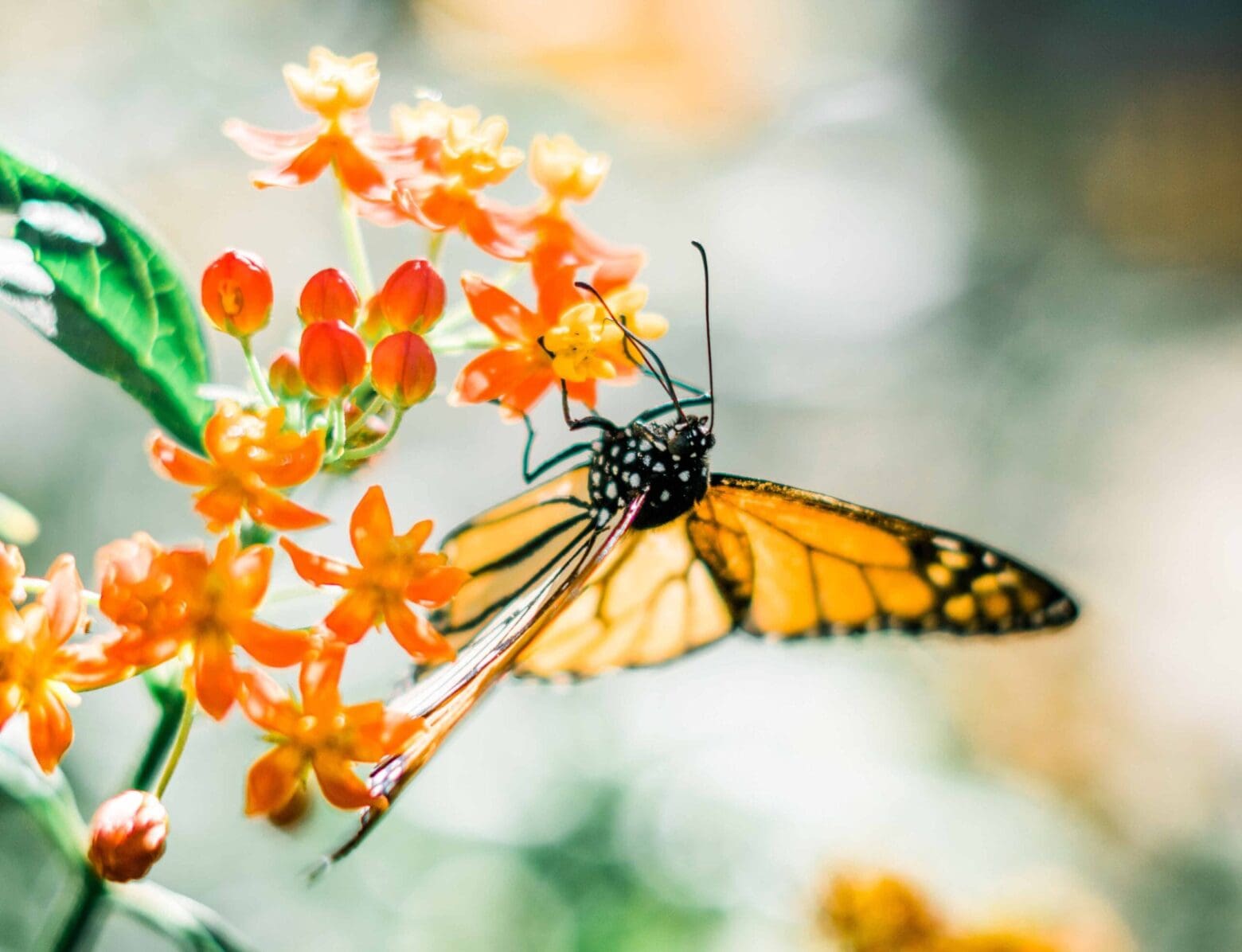 We all have Mental Health