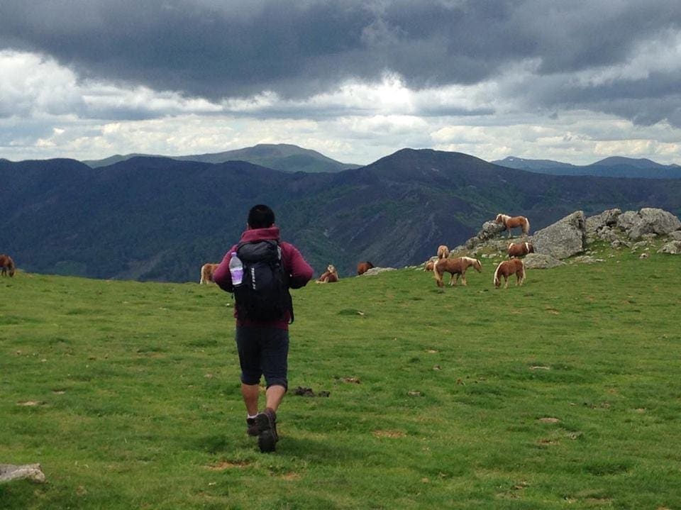 Francisco had a transformation through travel while hiking El Camino de Santiago.