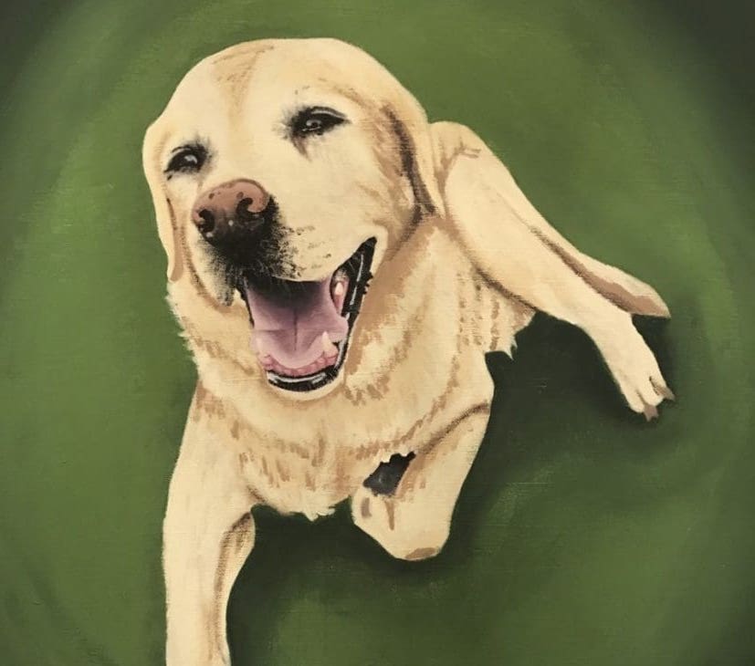 Rachel is a talented artist who loves to draw in her spare time.